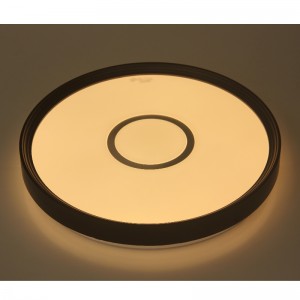 CX231 Потолочный светильник